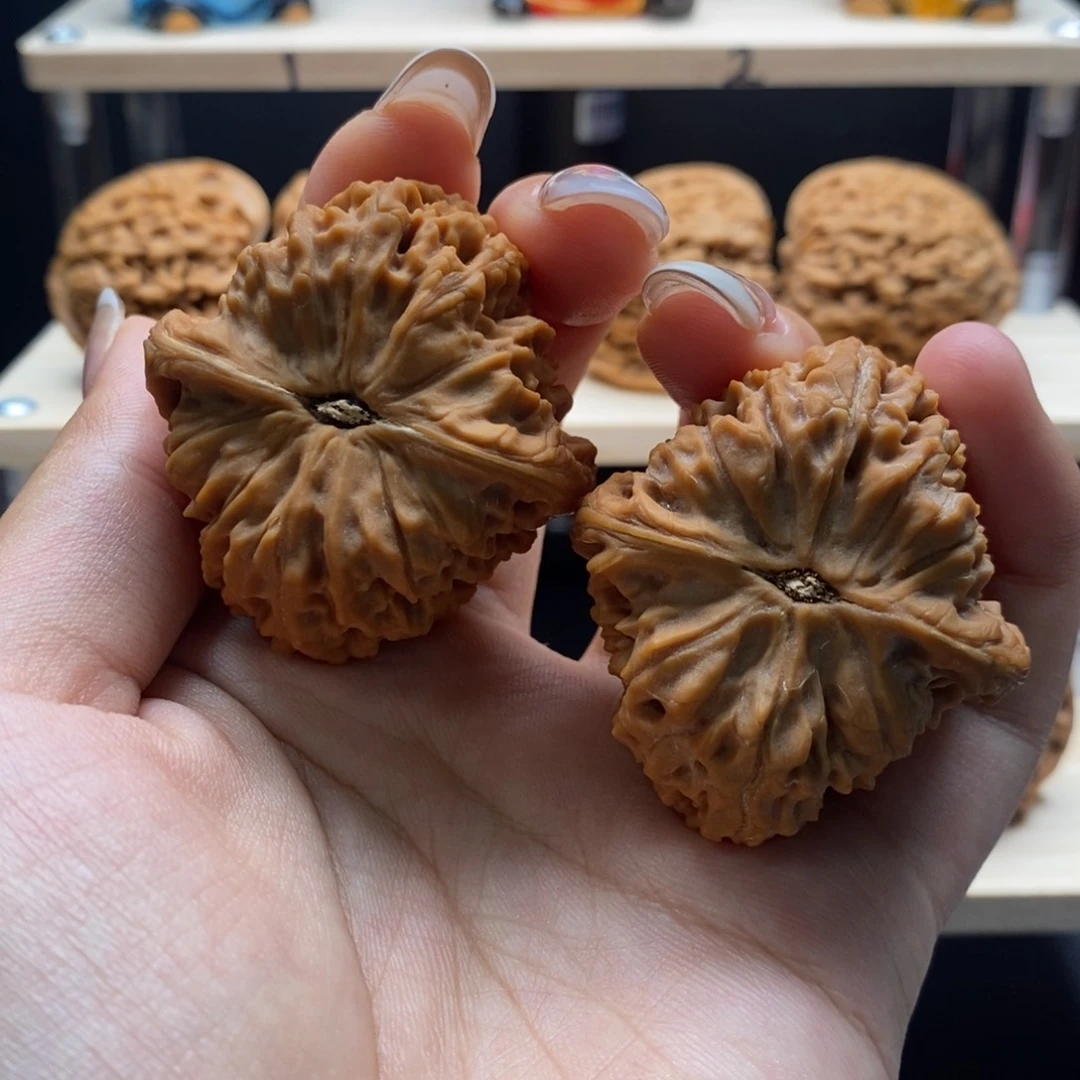 海*7号41-44-40大肚子圆柱炮，洁