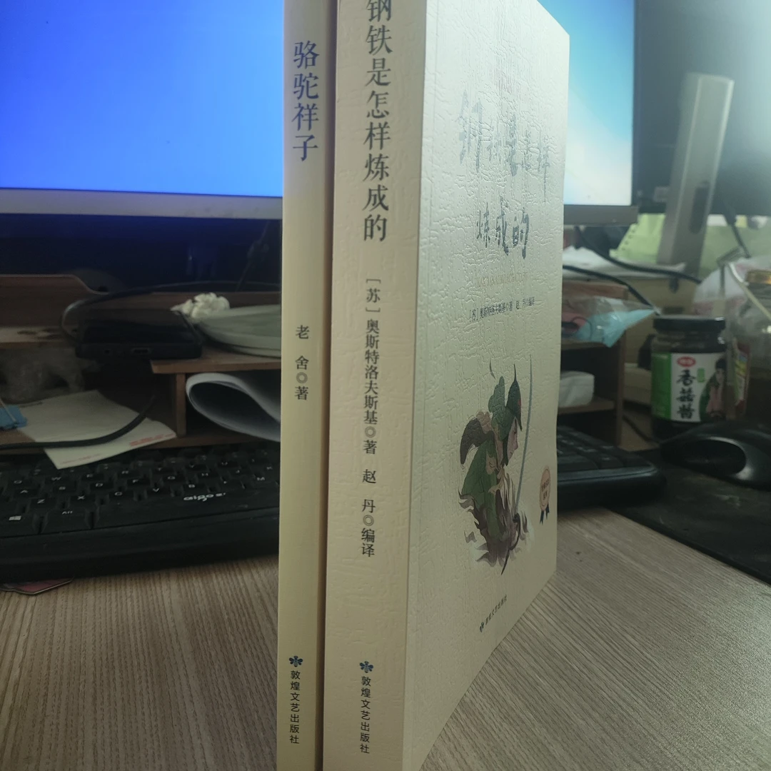 高效阅读骆驼祥子钢铁是怎样炼成的全本全译名师评注讲解考点手册