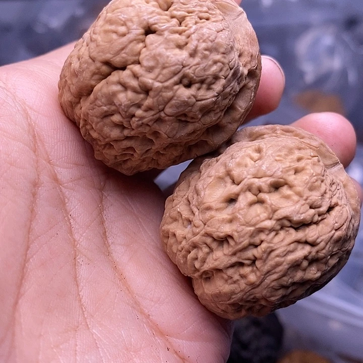 文玩核桃把件  263