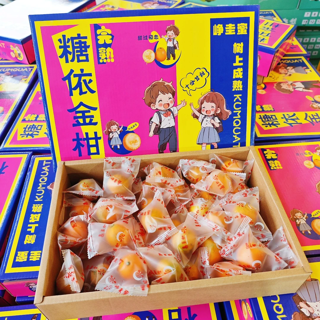 糖依脆蜜金柑 树上熟 脆甜好吃 礼盒装A