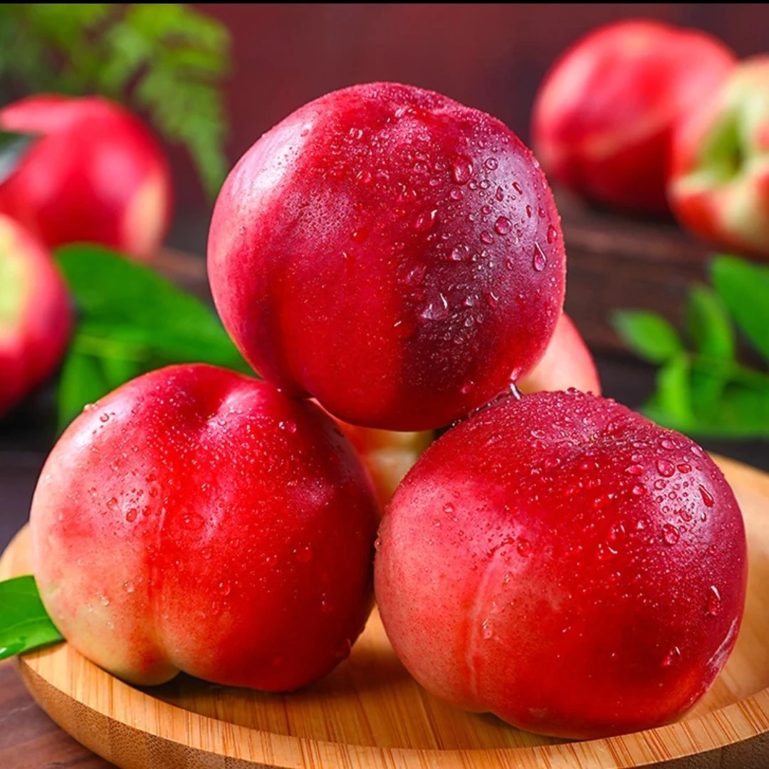 特价红珊瑚桃新疆维吾尔自治区