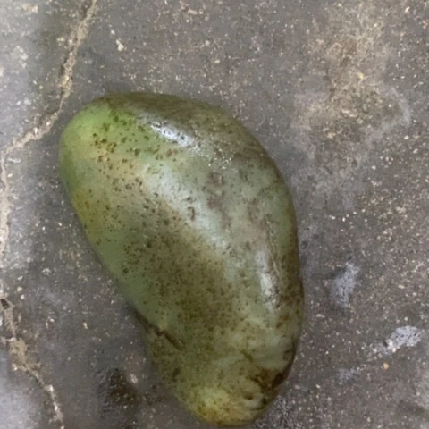 未镶嵌和田玉(糖玉)挂件
