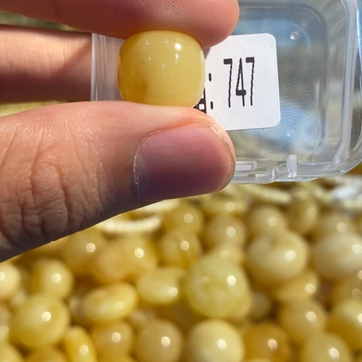 琥珀未镶嵌珠宝奇石747