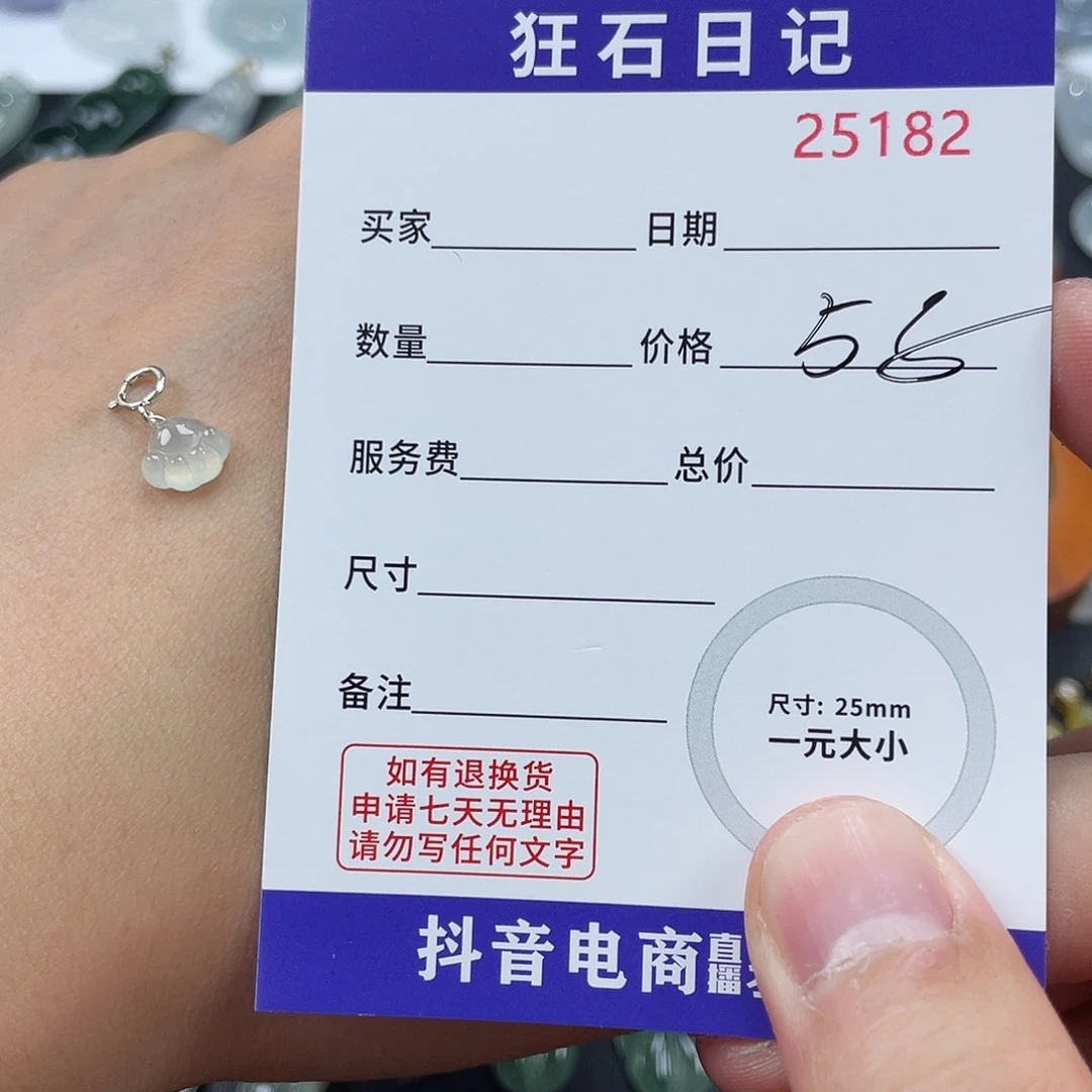 向***萎翡翠银S925镶嵌颈饰