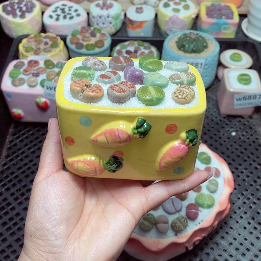 w6889 -零下地区拍保温箱-15支持寄养