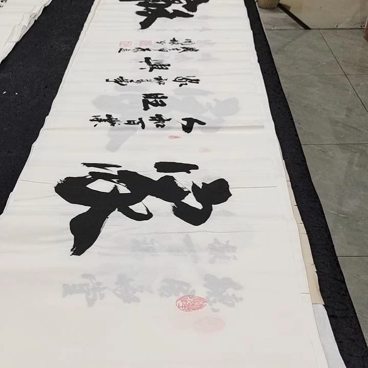 翰墨申国栋老师作品