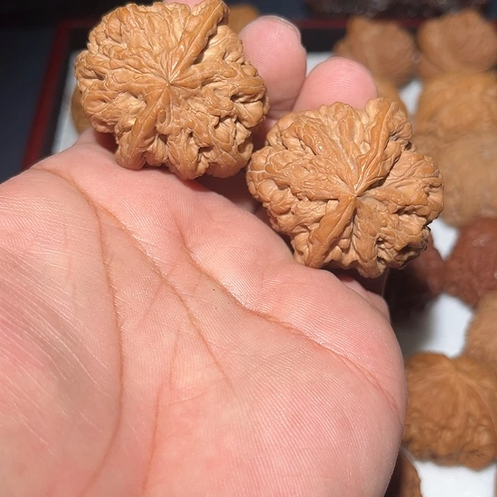 木43.5竞聘粗筋。
