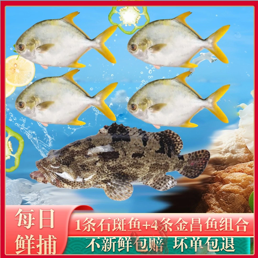 特大珍珠龙胆石斑鱼老虎斑*1+金鲳鱼*4海鲜深海鱼生鲜水产4.7-5斤