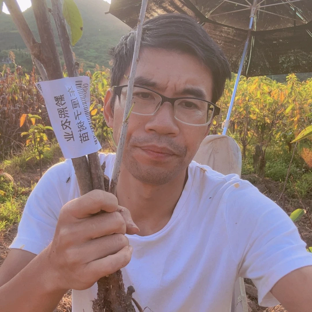 当前无花栽培后可以开花09