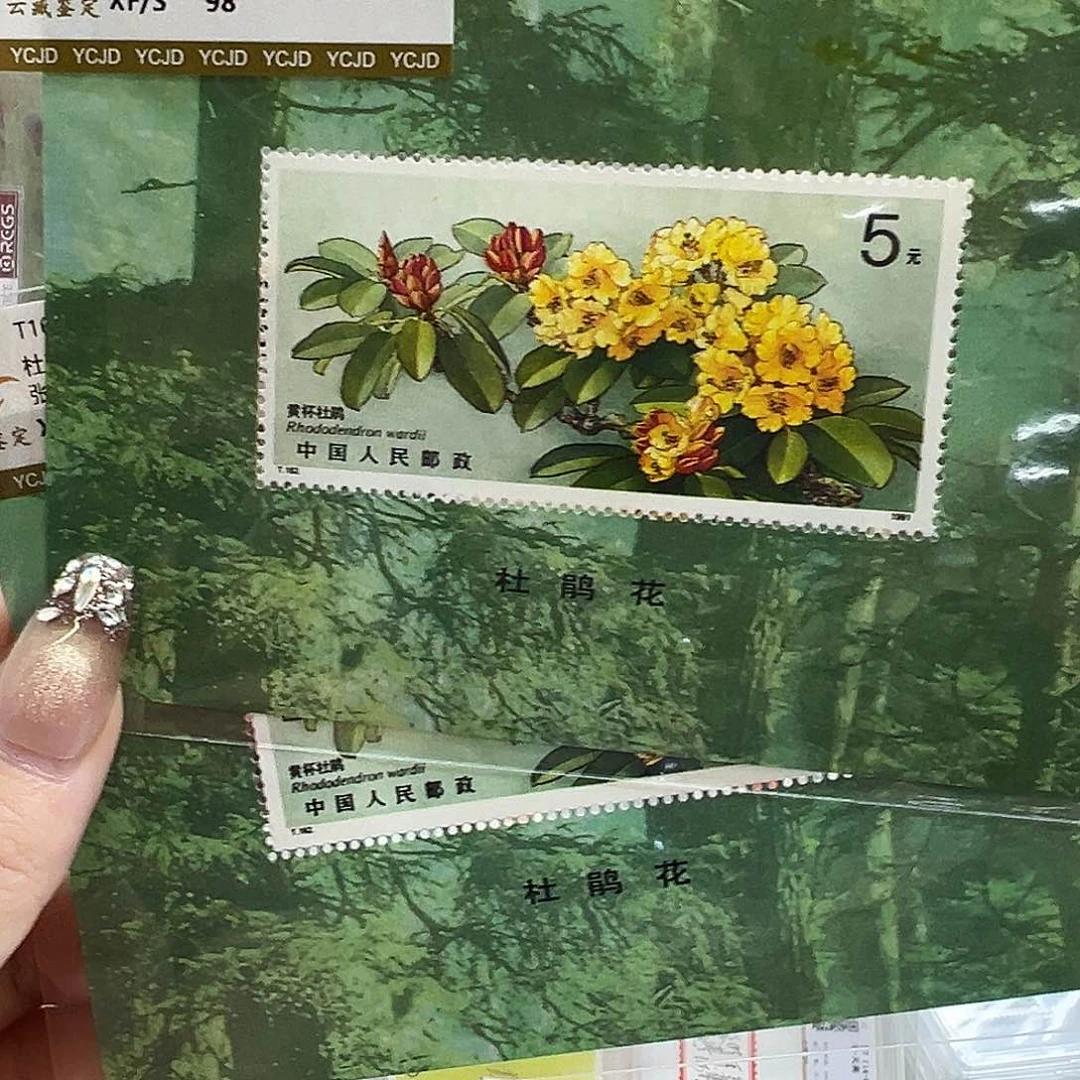 杜鹃花小型张小全张福利福利福利