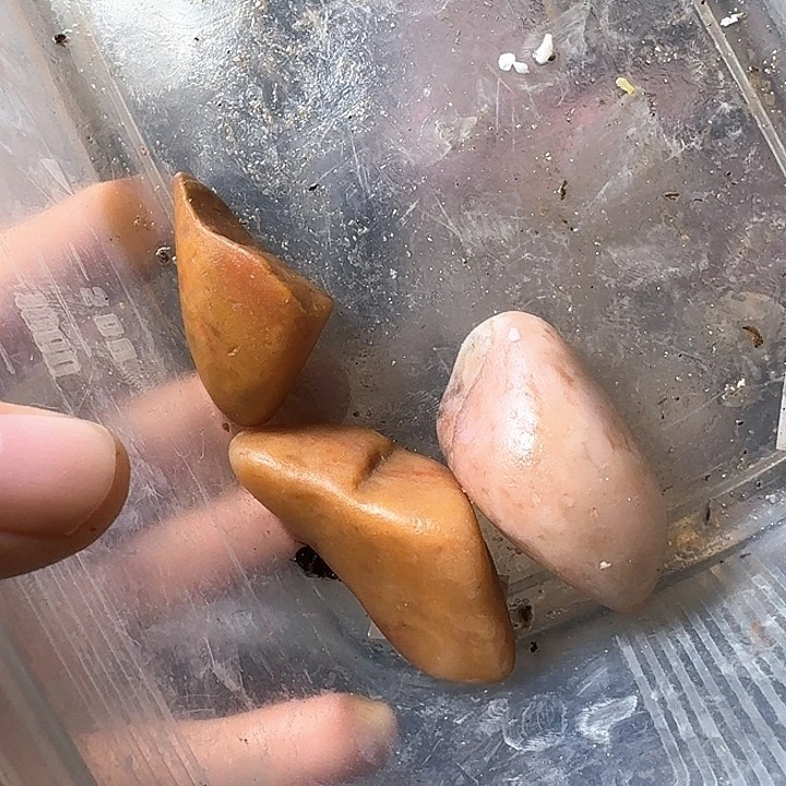 廣***）寿山石寿山石的种类