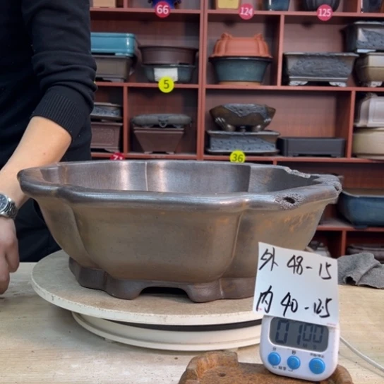 栖***院紫砂花盆中放一盆凉水喝