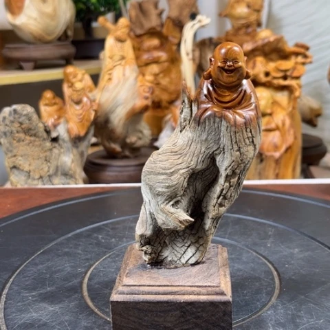 柏木（崖柏）vn b j h j h n n j j