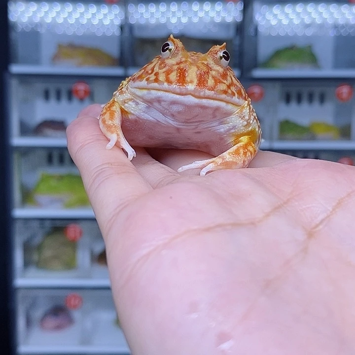 特价秒杀现货特价
