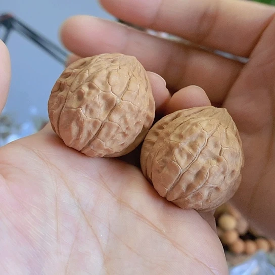 【闪购商品】把件文玩核桃38龟甲纹