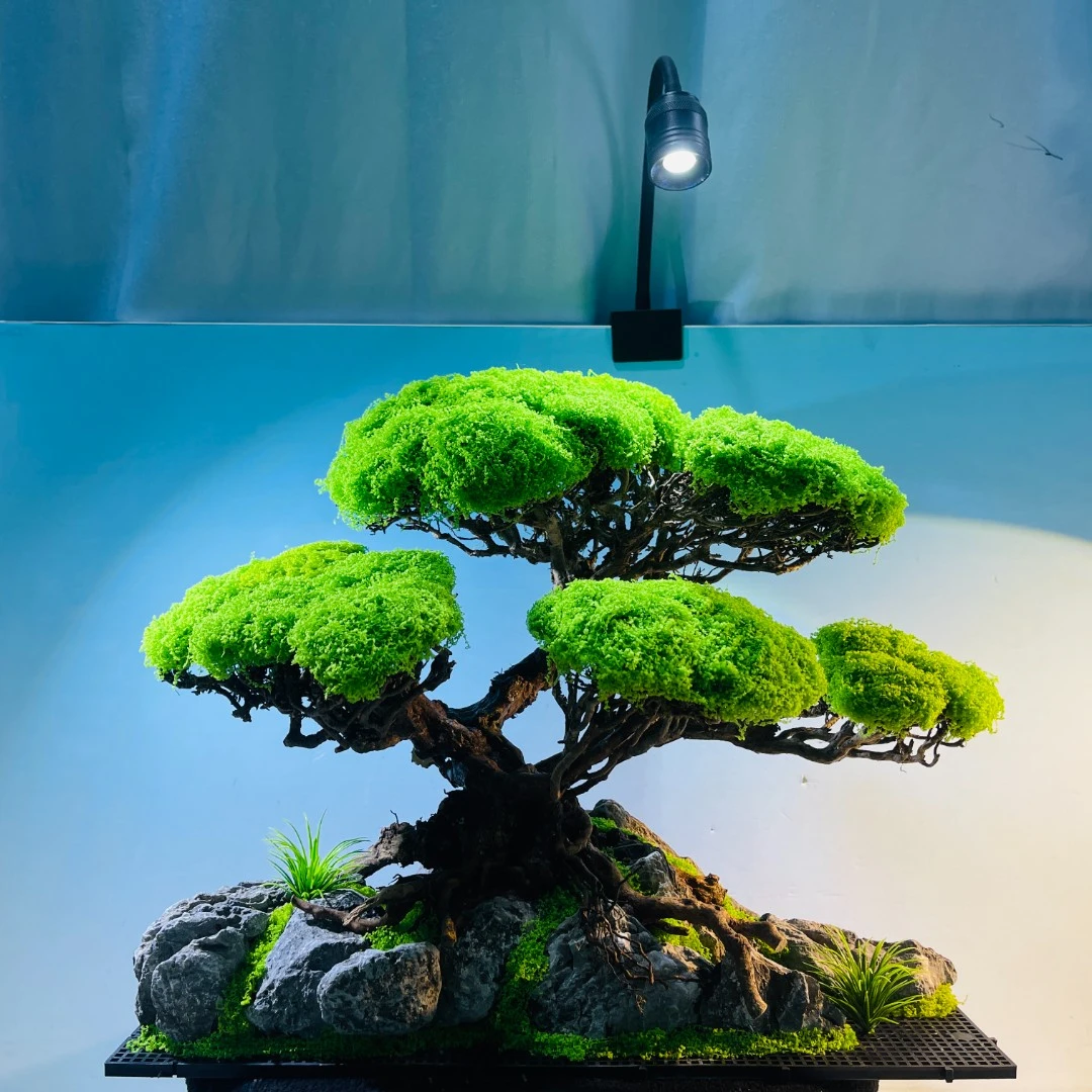 鱼缸造景骨架草缸造景青龙石溪流石沉木泰国枝杜鹃枝景观定制