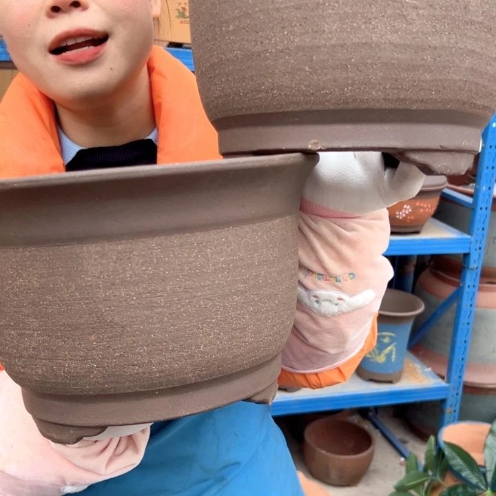 25+25拉毛小马花盆花盆