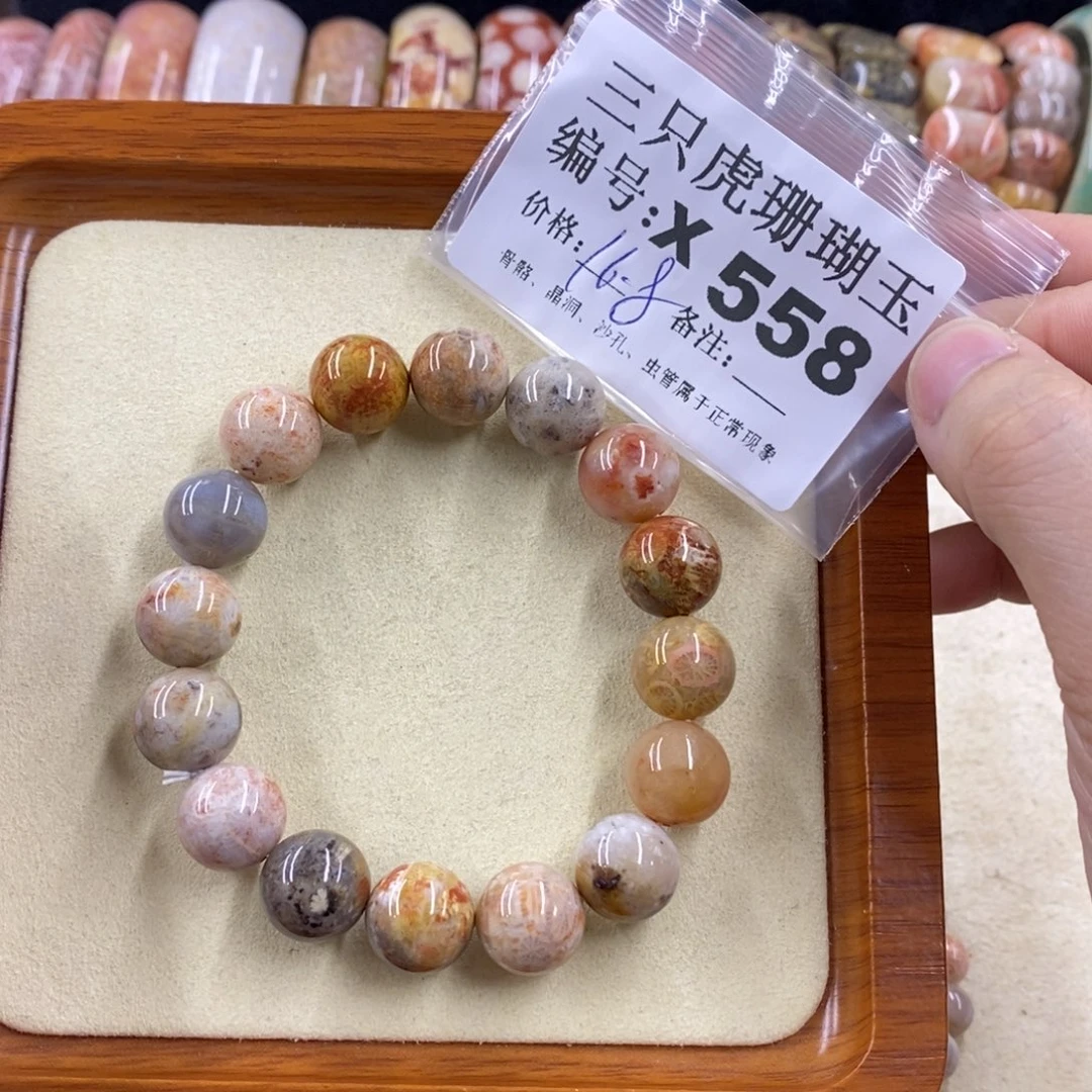 硅化珊瑚（珊瑚玉）1未镶嵌黑*