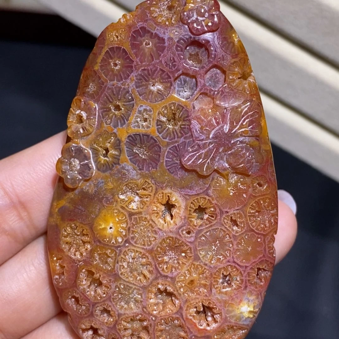 【闪购商品】未镶嵌珊瑚玉硅化玉