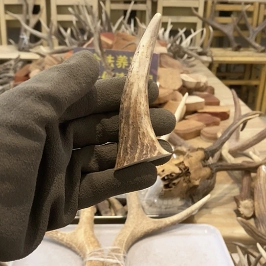 坐***阔银S925鹿鹿。