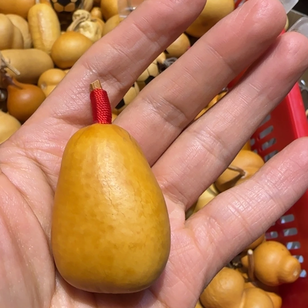 小***鱼哈哈哈哈哈哈哈哈哈哈哈