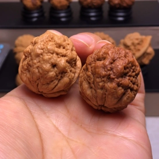 文玩核桃把件血舍利27