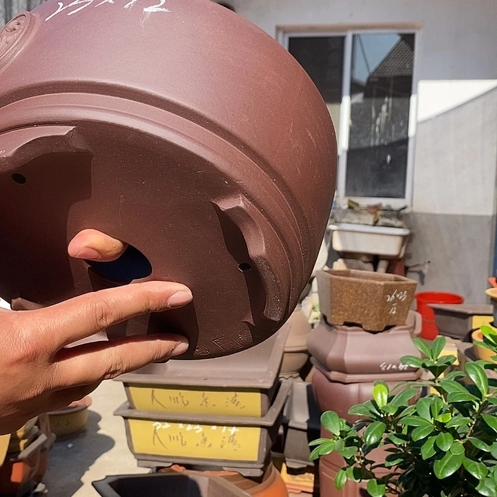 紫砂花盆紫砂花盆