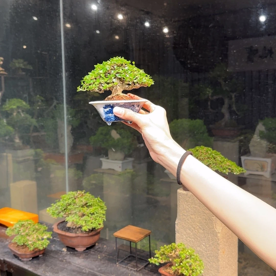 阿*兔11111111111111111111