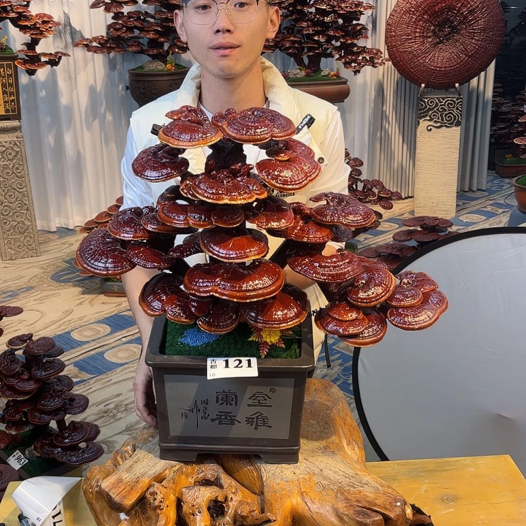 无花朵888888888888