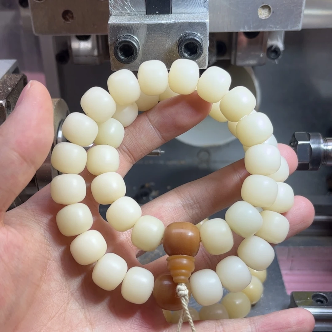 菩提根/象牙果手串