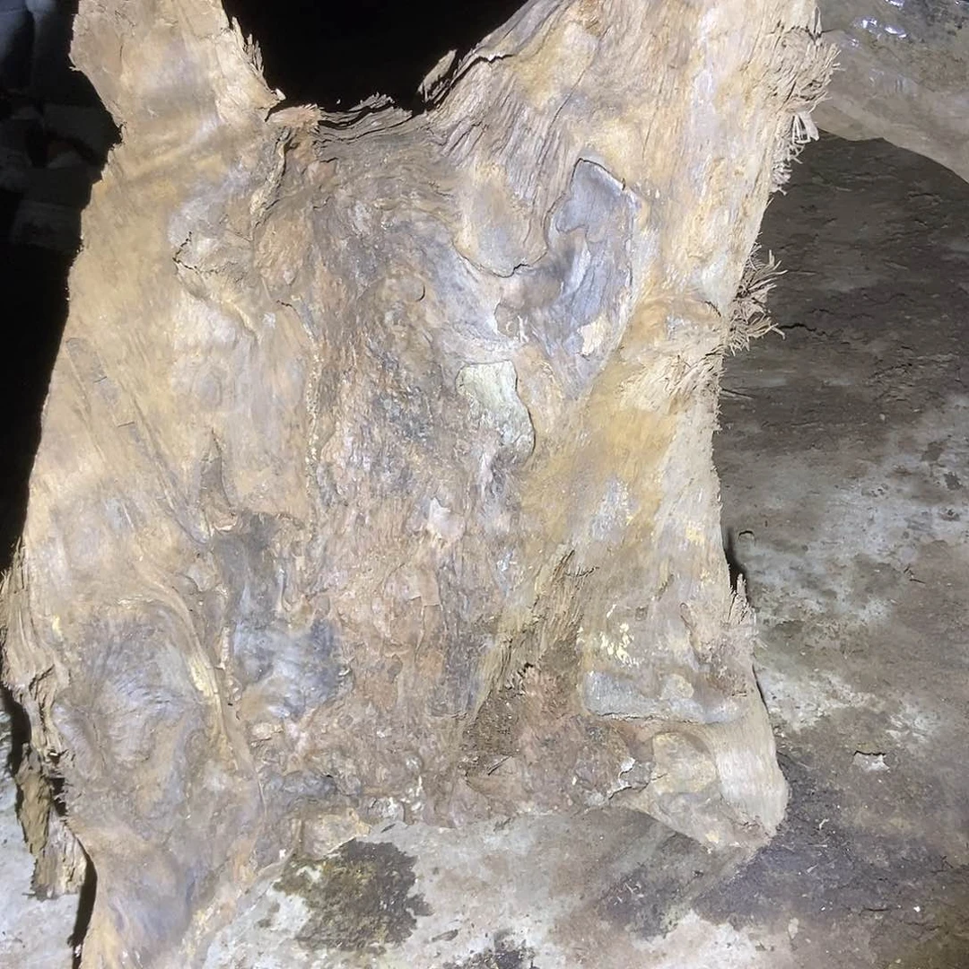 阴沉木小叶桢楠毛料