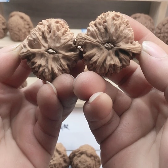 海***鱼文玩核桃把件福利多多