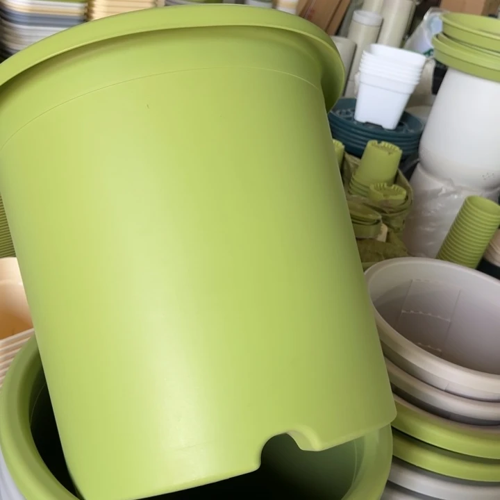 微瑕55口带托果绿2套