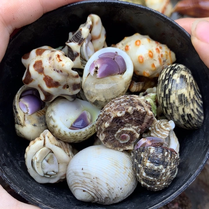 20h22个包活包活20个