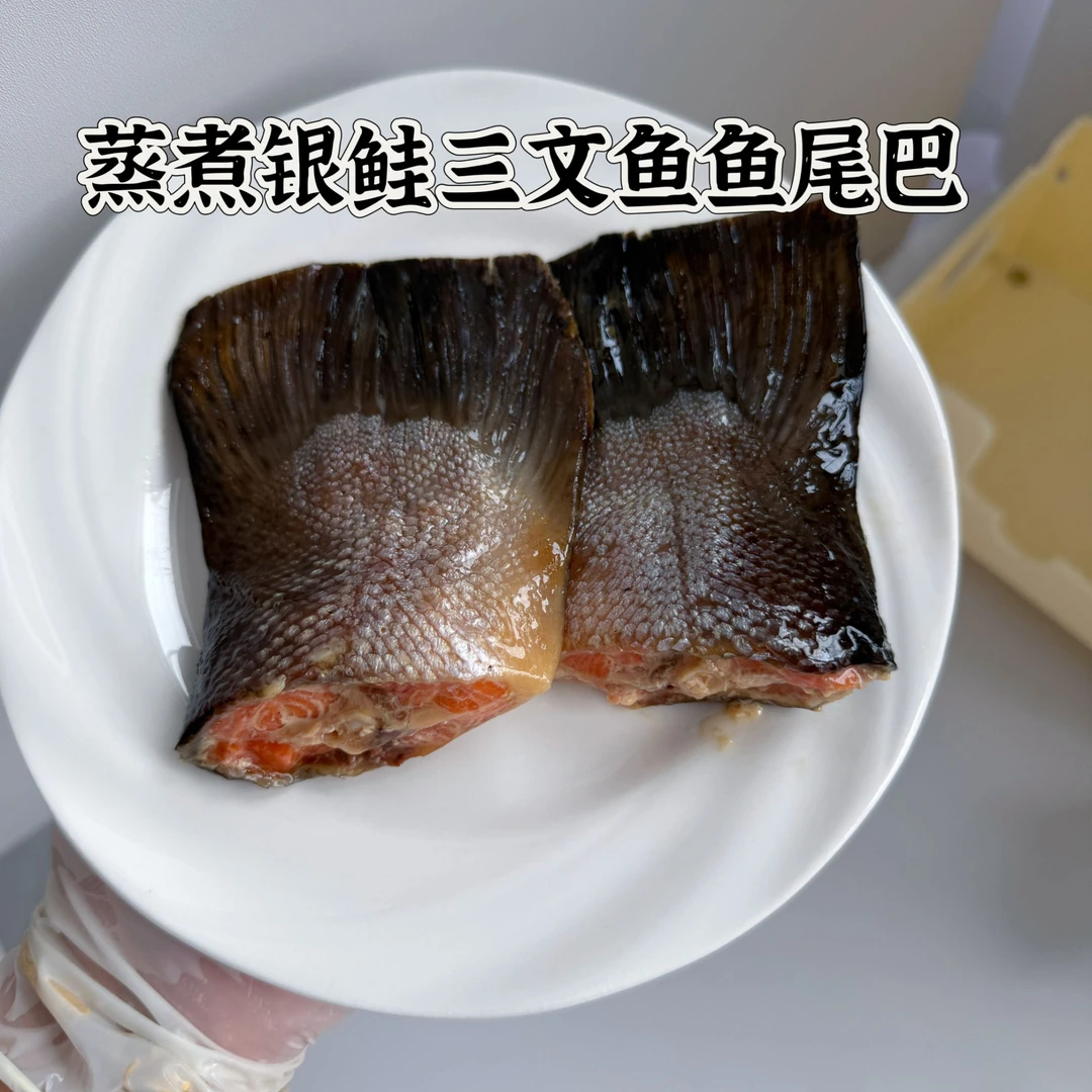 蒸煮三文鱼鱼尾巴酥骨宠物零食