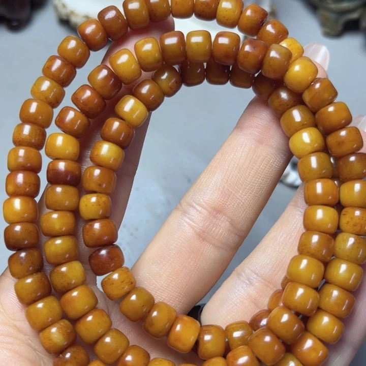 大果紫檀（缅甸花梨）