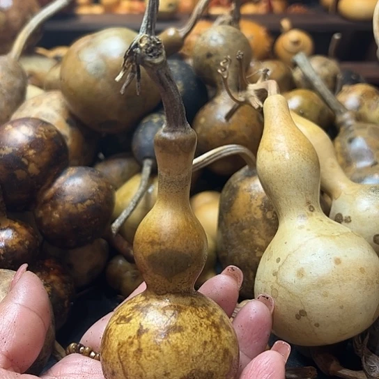 s***鹤葫芦葫芦葫芦葫芦