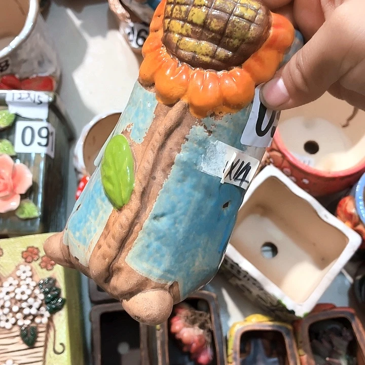 多肉花盆满15包邮