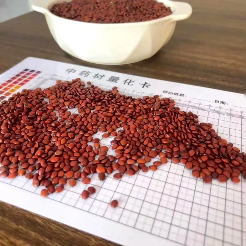 正宗失眠酸枣仁茶河北邢台酸枣仁酸枣仁睡眠专用纯太行山酸枣仁粉