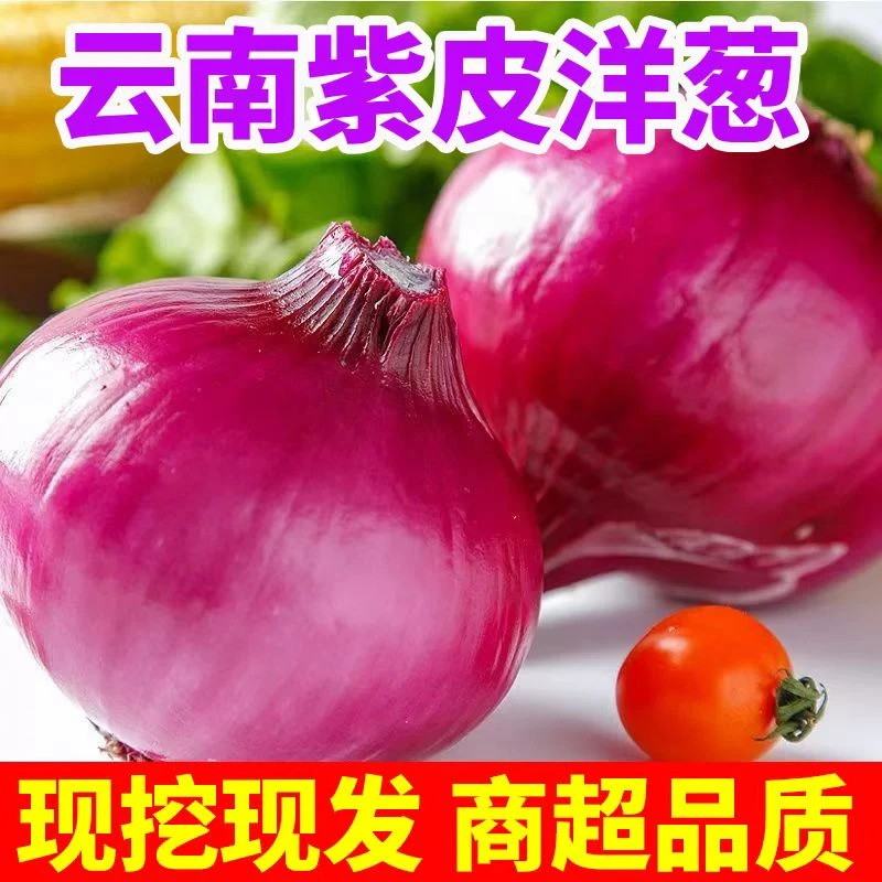 【只卖新葱】新鲜农家自种紫红皮洋葱圆葱头生吃味美多汁新鲜蔬菜