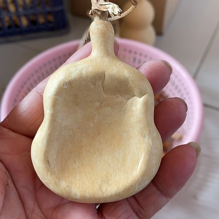 b x j c ksj s b ca s