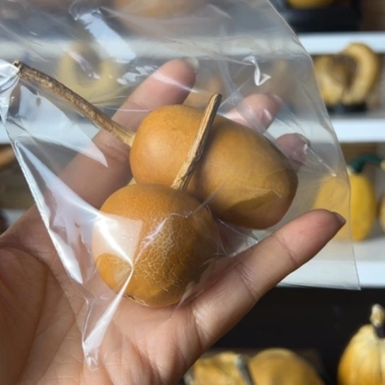 水****鱼满身橘皮纹一把握