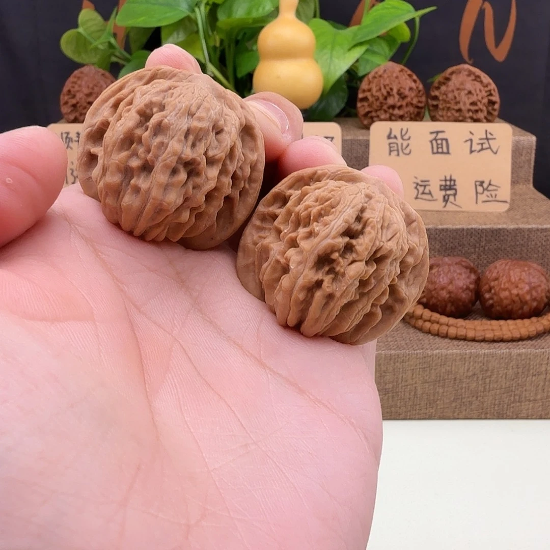 全品四座楼37/36/34