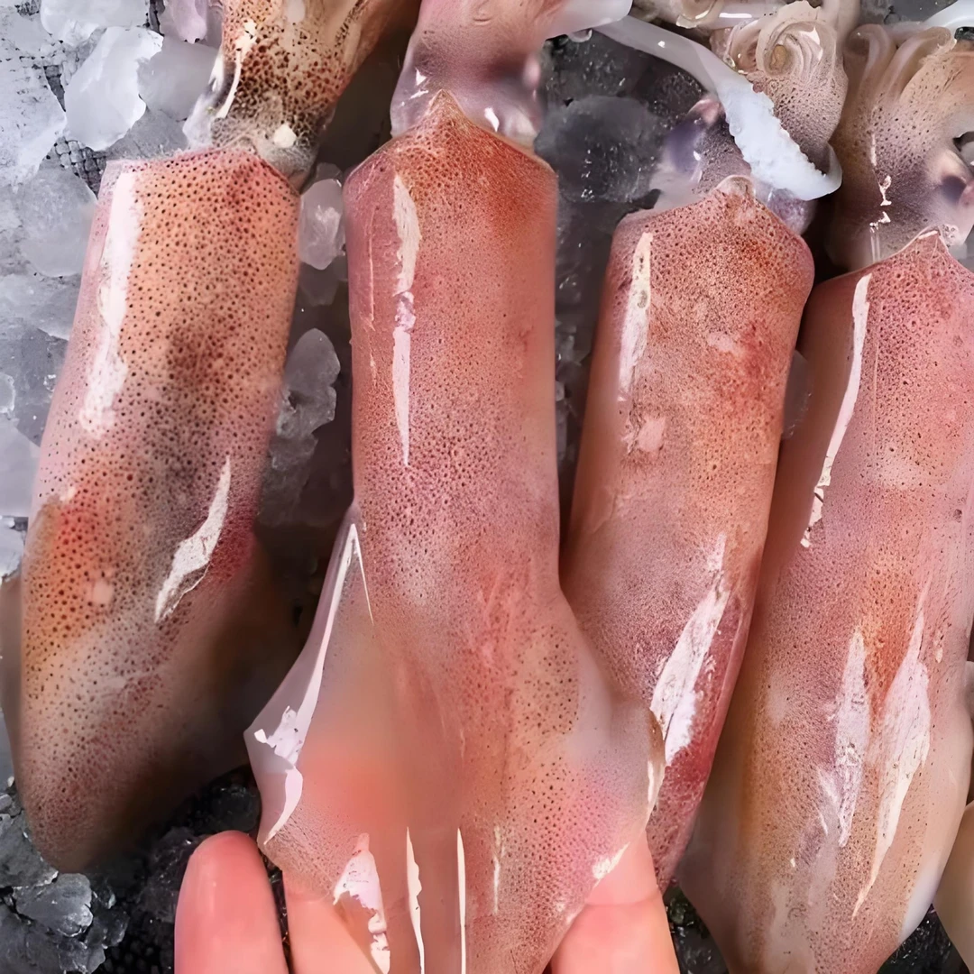 【灯照鱿鱼】100%有籽 5-6只/斤 肉厚爽脆不缩水 3斤顺丰包邮