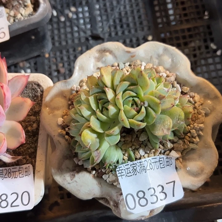 幸运的是我没有遇到过这样幸运