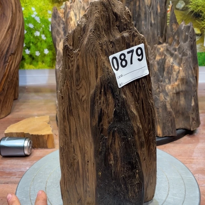 无***相木你在哪了我在66