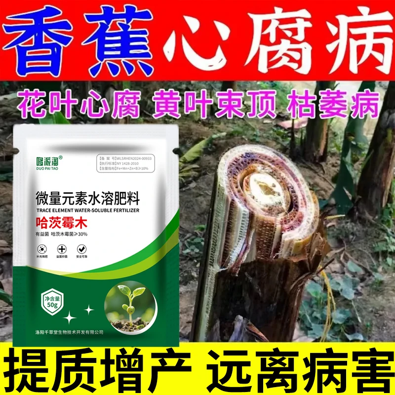 香蕉心腐病微生物菌剂香蕉花叶茎腐心腐烂心根腐急救肥料抗病抑菌