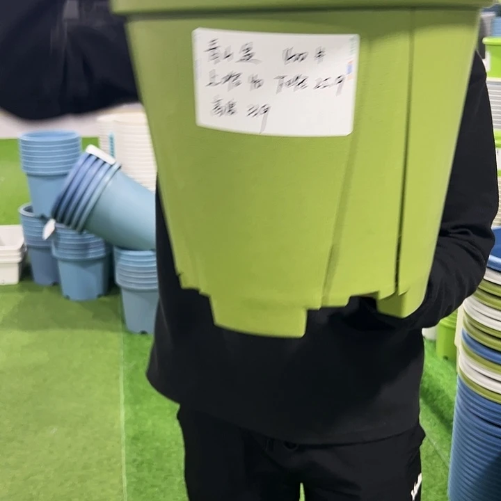 清仓青山口40高34果绿色5只无托