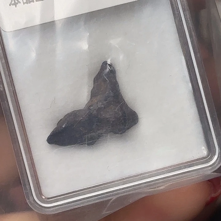 Z***在花岗石铁合金星星