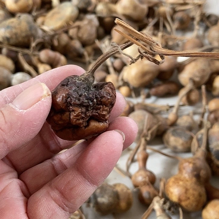 葫**牛d h f h i d h s b d f b s